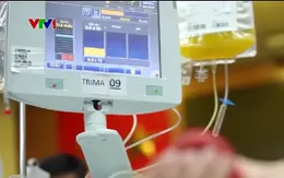 Đảm bảo nguồn cung tiểu cầu điều trị sốt xuất huyết