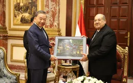 Tăng cường hợp tác song phương Việt Nam - Ai Cập trên các lĩnh vực