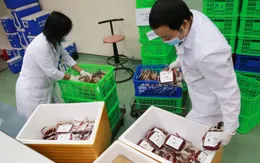 Năm 2023: Viện Huyết học - Truyền máu Trung ương tiếp nhận lượng máu kỷ lục