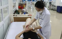 Liên tục ghi nhận nhiều bệnh nhân nhập viện do rắn cắn