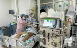 3 tháng điều trị tích cực cho bé gái sốc sốt xuất huyết nặng, suy đa tạng