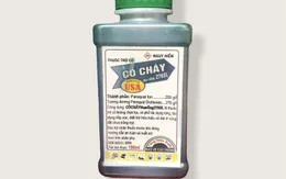 Cảnh báo ngộ độc thuốc diệt cỏ paraquat