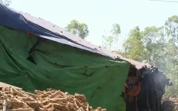 Nhiều lò than củi gây ô nhiễm môi trường ở Đắk Lắk