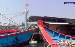Tiếp diễn nạn trộm cắp thiết bị tàu cá