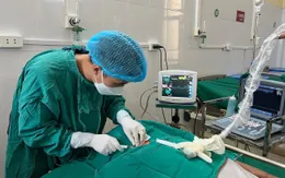 Cấp cứu nam thanh niên ngộ độc thuốc trừ sâu
