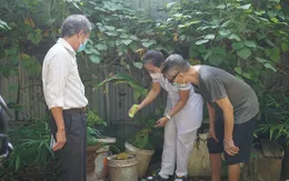 Tăng cường điều tra, xử lý khu vực xuất hiện ca bệnh, ổ dịch sốt xuất huyết