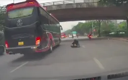 Cô gái thoát chết trong gang tấc khi ngã trước đầu xe khách