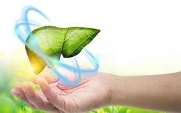5 cách đơn giản tăng cường chức năng gan hiệu quả
