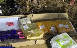 Quảng Trị bắt giữ vụ vận chuyển ma túy lớn từ Lào về Việt Nam