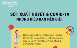 Cách phân biệt sốt xuất huyết và COVID-19