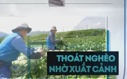 Nhiều gia đình thoát nghèo nhờ xuất khẩu lao động