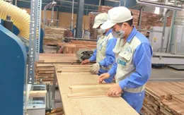 Định vị Thương hiệu quốc gia Việt Nam xanh