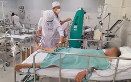 Cứu sống bệnh nhân 81 tuổi bị ong vò vẽ đốt trên 70 vết