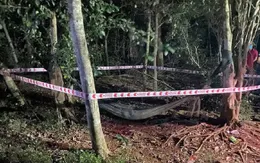 Em trai sát hại anh ruột vì mâu thuẫn khi uống rượu