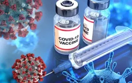 Dịch bệnh COVID-19 trong tầm kiểm soát