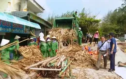 Tháo dỡ công trình trái phép ở biển Vũng Tàu