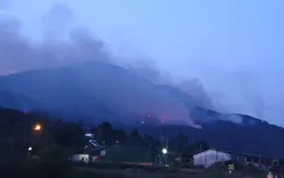 Cháy lớn ở núi Voi, Lâm Đồng