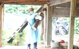 Ngày Thế giới phòng chống sốt rét 25/4: Nhiều hoạt động hướng tới loại trừ mầm bệnh