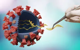 Chưa có bằng chứng cho thấy độc lực của virus SARS-CoV-2 đã giảm