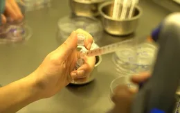 Ứng dụng nhiều kỹ thuật mới trong thụ tinh ống nghiệm