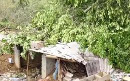 Dông lốc, mưa lớn gây thiệt hại tại Lai Châu