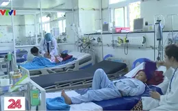 Gia tăng ca mắc sốt xuất huyết nặng tại Cần Thơ