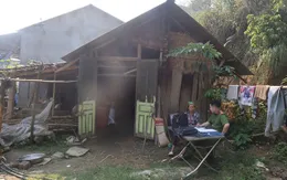 Hai người tử vong do uống rượu ngâm lá