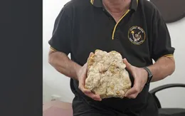 Một thợ đào vàng không chuyên phát hiện khối vàng khổng lồ 160.000 USD tại Úc