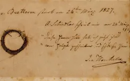 Phân tích DNA "giải mã" loạt bí ẩn về bệnh tình của thiên tài Beethoven