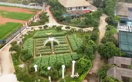 Hà Nội: Nhiều mô hình sản xuất nông nghiệp biến tướng thành điểm du lịch, nghỉ dưỡng