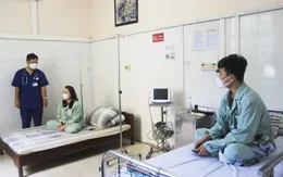 Ăn phải ốc biển có độc, 2 người phải nhập viện