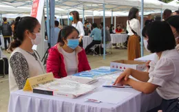 Hơn 9.200 chỉ tiêu việc làm cho lao động 8 tỉnh, thành phố