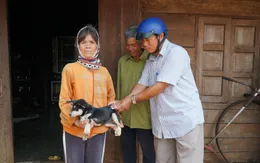 Không để mầm bệnh dại lưu hành, phát tán