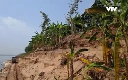 Sạt lở nghiêm trọng uy hiếp tính mạng, tài sản nhiều hộ dân ven bờ sông Đà