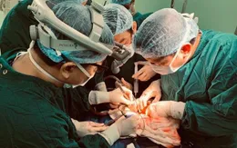 Sở Y tế TP. Hồ Chí Minh: Tuân thủ quy định nhưng không làm gián đoạn ghép gan cho trẻ em