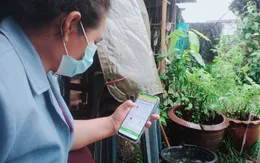 Thái Lan lập trung tâm đối phó với sốt xuất huyết