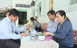 Cà Mau: Kiểm tra các cơ sở sản xuất kinh doanh rượu