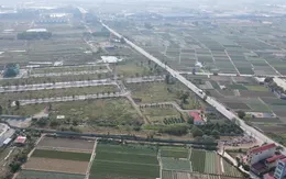 Rà soát, đánh giá kết quả thực hiện chỉ tiêu sử dụng đất