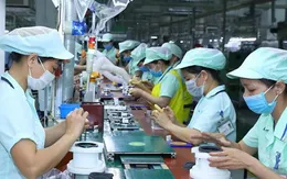 60% doanh nghiệp bán lẻ Nhật Bản sẽ mở rộng kinh doanh tại Việt Nam