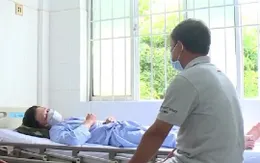 Gia tăng số ca mắc sốt xuất huyết ở người lớn