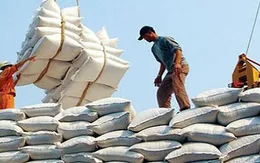Gạo Việt có nhiều cơ hội xuất khẩu sang châu Phi