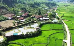 Đưa Sơn La ra khỏi diện trọng điểm về ma túy