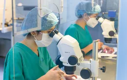 Bộ Y tế yêu cầu tuân thủ quy định về hỗ trợ sinh sản