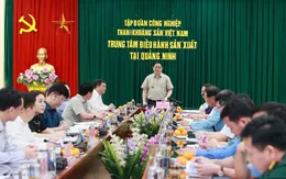 Tập trung tháo gỡ vướng mắc, đẩy mạnh sản xuất, bảo đảm cung ứng điện, than