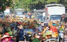 Nhộn nhịp tiêu thụ vải thiều đầu vụ