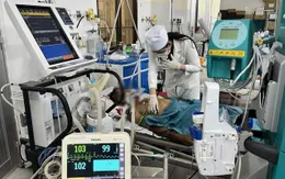 Cà Mau: Thêm 4 người ngộ độc methanol