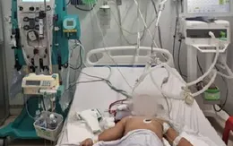 Hội chẩn từ xa, ứng dụng kỹ thuật lọc máu cứu sống bé gái mắc tay chân miệng nguy kịch