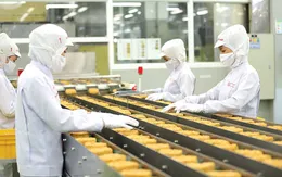 Kiểm soát an toàn thực phẩm mì ăn liền xuất khẩu sang EU