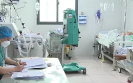 Không tìm được mối liên quan giữa 3 vụ ngộ độc botulinum ở TP Hồ Chí Minh