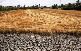 El Nino sẽ gây thiếu hụt mưa, hạn hán nhiều nơi trên cả nước